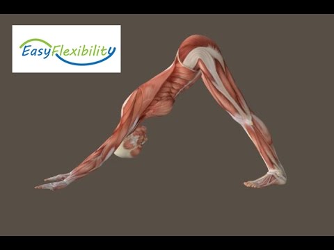 how to perform downward facing dog