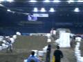 videos de Dominique Pascal Thury@SX Stuttgart