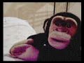 How to Save a Life - Monkey
