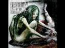 My Melodic Death/Thrash Collection VOL1