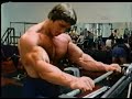 bodybuilding arnold schwarzenegger - biceps traini