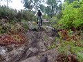 fafe armil