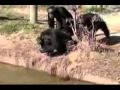 Aula - Video - mono.wmv