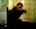 verdadero video clip de congratulations i hate you