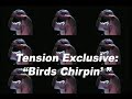 birds chirpin intro1