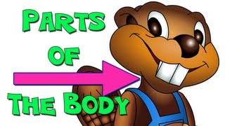 Parts Of The Body - English For Kids