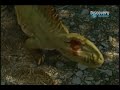 La evolucion de las especies capitulo 2 4-4