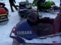 sxr vmax mxz artic cat