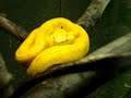 The Toronto Zoo- Check It Out For Yourself !