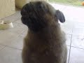 emilio-en-el-patio-.html