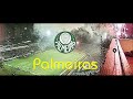 Palmeiras