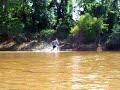 Gay Falling Chase