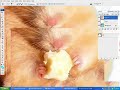 See Video