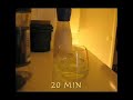 Catch fruit flies (Drosophila) with vinegar Catch fruit flies (Drosophila) with vinegar