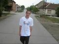 Boulevard of broken Bin`s [1]