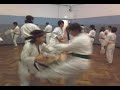 karate dojo nami