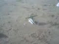 plane test 1 plane test 1