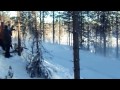 HD Video - WRC Snow Rally Action with pure engine sounds (2001-2007)