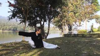 5 animaux Wudang Qi Qong