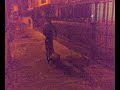 Gatonet Ismael accidente