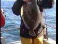 Pesca embarcado Mar del Plata