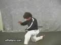 Mono Borracho