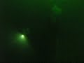 into the layer of acid in cenote angelita