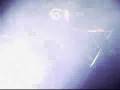 Les Claypool - Whamola