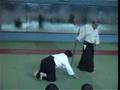 Shoji Nishio Sensei - nikyo