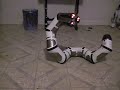 roboboa 003.AVI roboboa 003.AVI