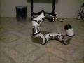 roboboa-003-AVI