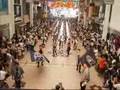 2007よさこい祭り本祭