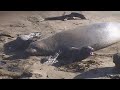 RELAXING VIDEO #4 Best WATERFALLS & BEACHES of CALIFORNIA White Noise Stress Free for Studying Relax