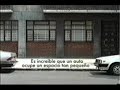 Volks Wagen Ultima edicion Mexico