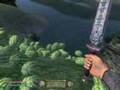 Oblivion - Trying to Cross a lake using 2500 watermelons