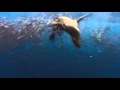 Minimalistix Close Cover 2010 Official Music Video and Lyrics