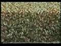 Iran Masoud Rajavi-_amjadae-f5