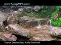 Tropical Dreams Relaxation by Lita  Insomnia Sedatives