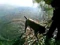 Rookie - Lagoa da Vela