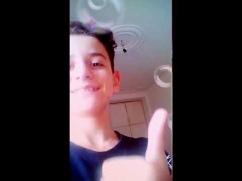 動画