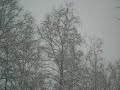 nevicata epifania 2009