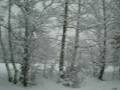 videos de nevicata epifania 2009