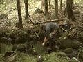 Starting a Fire with Everything All Wet Materials