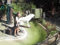 renato zoo san diego 9