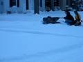 videos de 1964 Bolens Hus-Ski