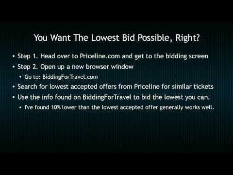 how to bid on priceline for flights