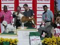 2� Exposi��o Nacional & 56� Internacional do Estoril