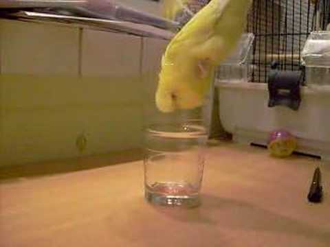 Video ansehen