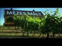 Wines: Royal Tokaji: The Renaissance of Tokaji