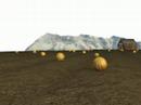 3D rendered Pumpkin Field 3D rendered Pumpkin Field